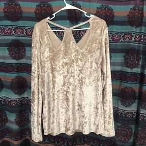 Velvet Champagne Blouse